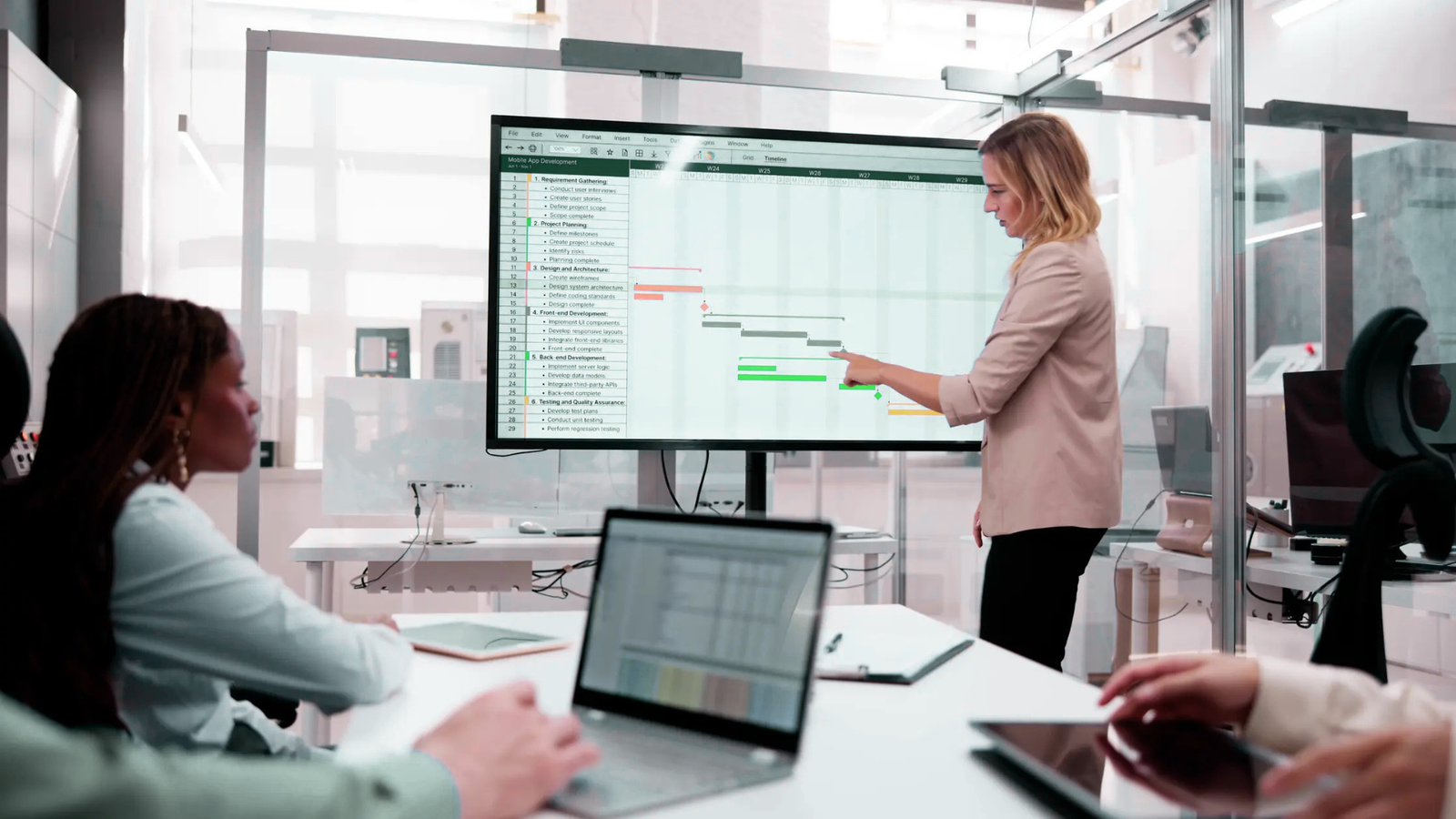 Risk Management and Problem Solving